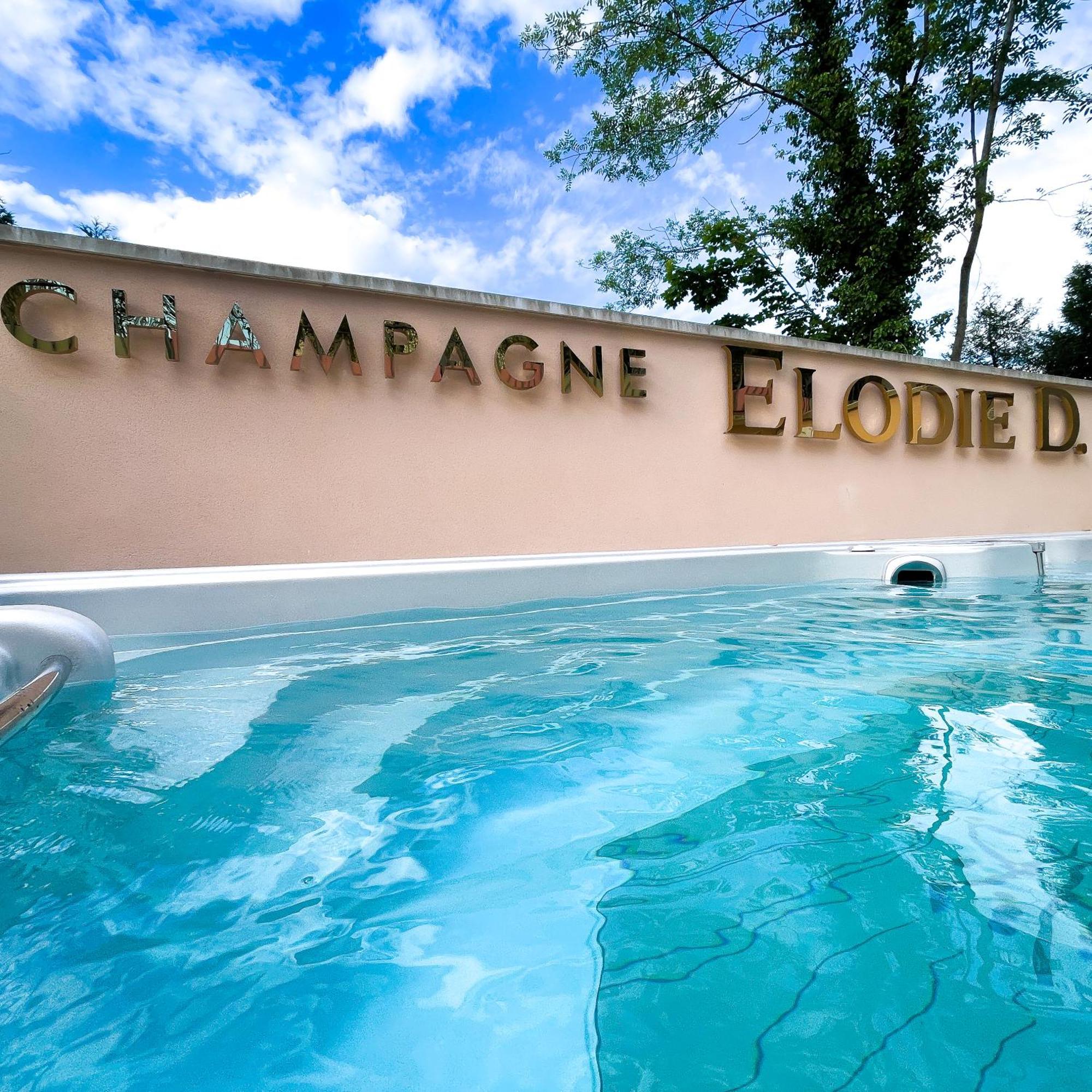 La Demeure D'Elodie Epernay Exterior photo